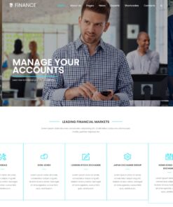 Financial Accounting Firm Website