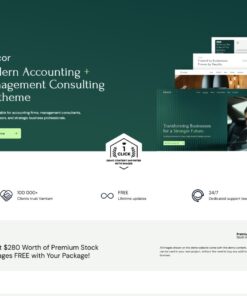 Financial or Accounting Firm Website in Kenya